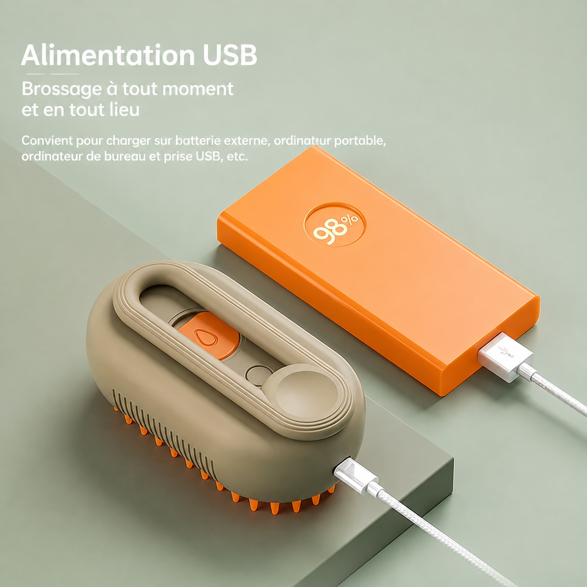 Infographie alimentation USB de la brosse vapeur pour animaux