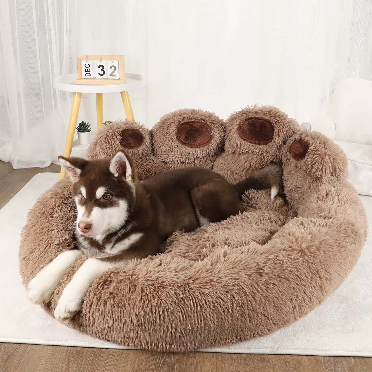 Chiot husky dans un panier peluche forme patte d'ours